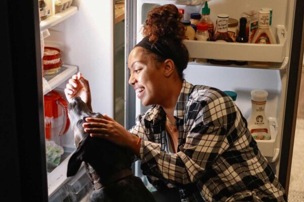 qual a diferença entre geladeira e refrigerador