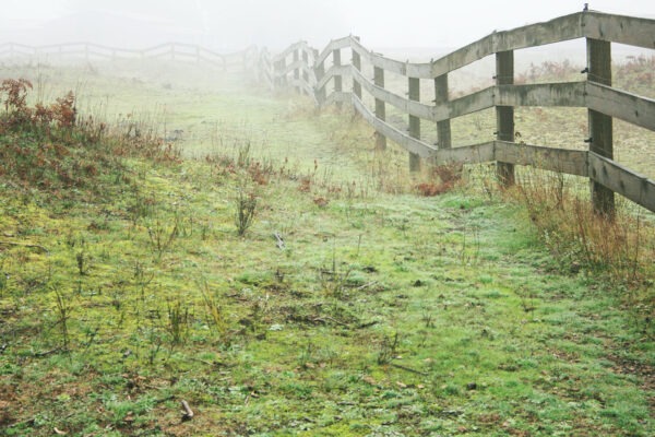 qual a diferença entre limite e fronteira